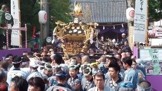 20160514_143546.jpg