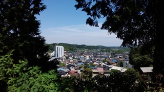 20160518_125307.jpg