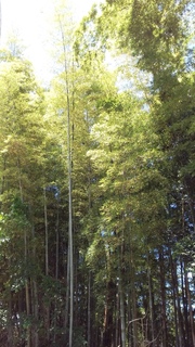 20160518_125334.jpg