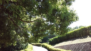 20160518_125342.jpg