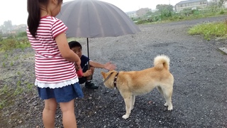 20160615_174720.jpg