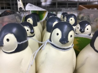 image.jpeg