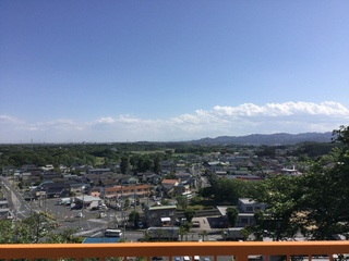 image.jpeg
