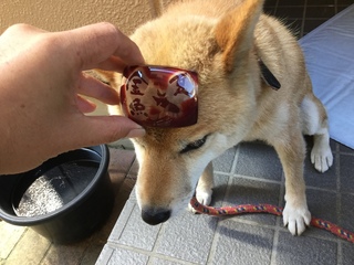 image.jpeg
