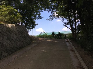 image.jpeg
