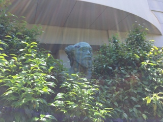 image.jpeg